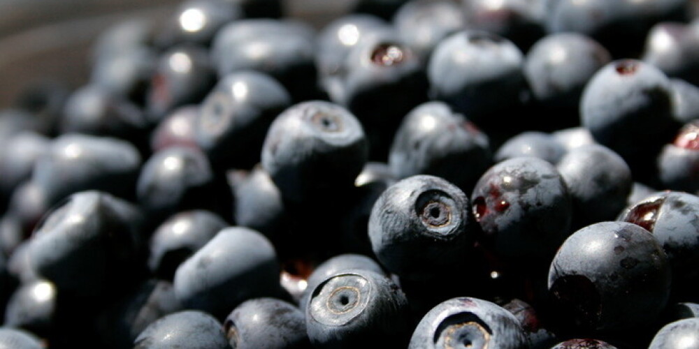 Centrāltirgū konfiscētas trīs tonnas nezināmas izcelsmes augļu, ogu un dārzeņu