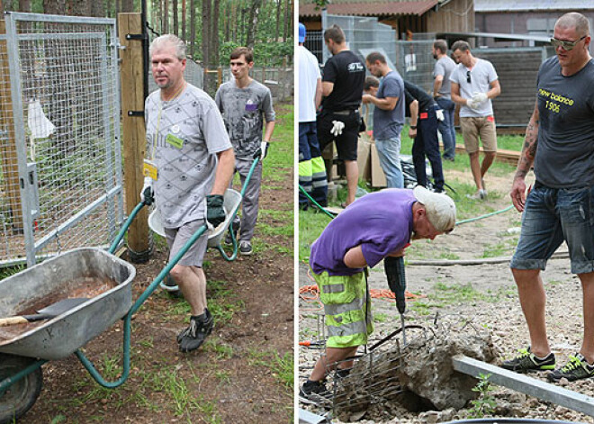 Dzīvnieku patversmē "Ulubele" simtiem brīvprātīgo paveic labu darbu. FOTO