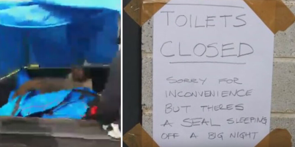 Neticami, kas tika atrasts sieviešu tualetē kapsētā Tasmānijā... VIDEO
