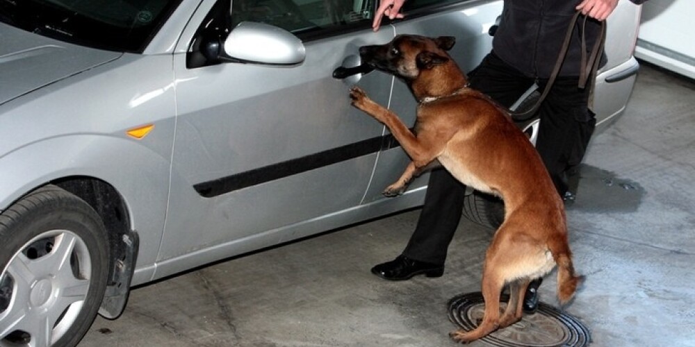 VID darba suņi pirmajā pusgadā atklājuši 343 pārkāpumus