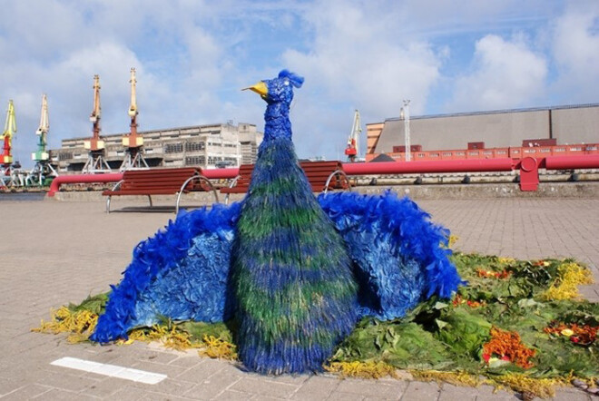 Šajā nedēļas nogalē Ventspilī notiek Pilsētas svētki un viens no to savdabīgākajiem un oriģinālākiem pasākumiem ir Ziedu paklāju festivāls Ostas ielas promenādē (attēlā: foto no iepriekšējā festivāla).