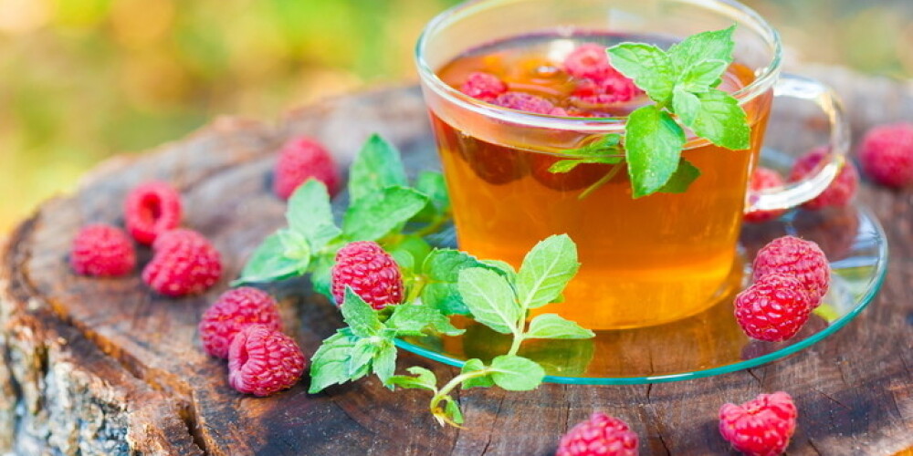 6 veselīgas zāļu tējas, ko salasīt ziemas krājumiem