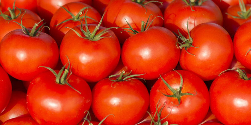 Ģeniāls veids, kā saglabāt tomātus svaigus līdz pat Ziemassvētkiem