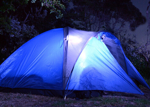 Valsts policija par notikušo uzbrukumu sākusi kriminālprocesu.