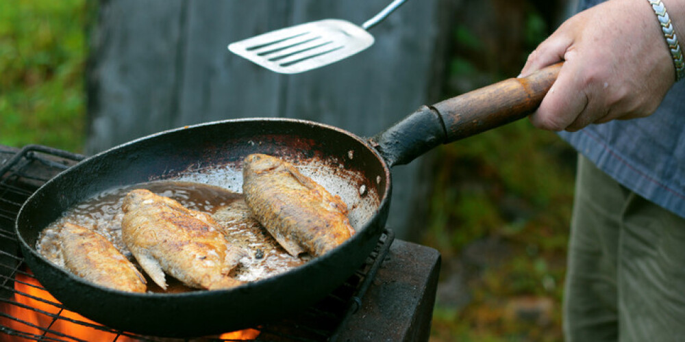 Zivis - filejās, steikos, veselas. Kā tās pareizi glabāt un gardi izcept