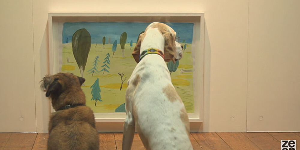 Londonā atklāj mākslas izstādi suņiem. VIDEO