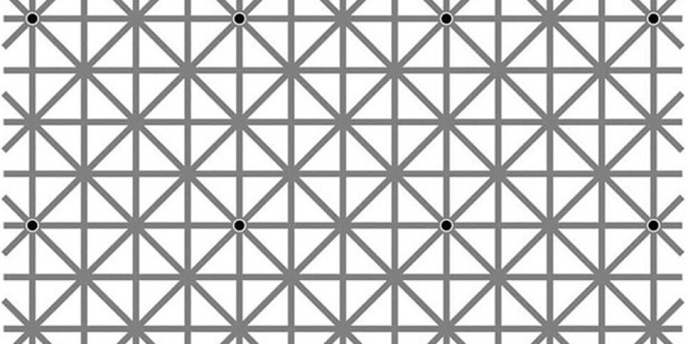 Сколько черных точек вы видите?