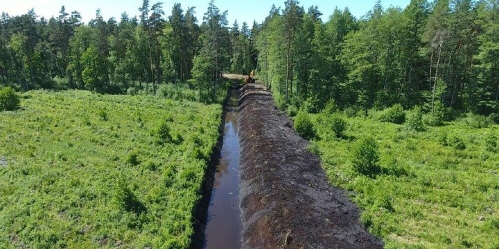 Gada laikā "Rīgas meži" apsaimniekotajos mežos atjaunoti teju 50 km meža meliorācijas grāvju