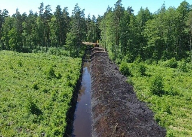 Gada laikā "Rīgas meži" apsaimniekotajos mežos atjaunoti teju 50 km meža meliorācijas grāvju