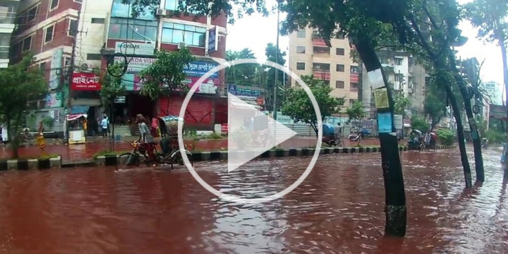 Musulmaņu svētki Dakā pārvērš ielas baisās asins upēs. FOTO. VIDEO (Nepatīkami!)
