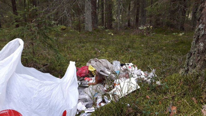 Auseklis Bielais nemāk izskaidrot, kā viņa dokumenti saistībā ar automašīnas tehnisko apskati varētu būt nonākuši iespējamo apmelotāju rokās.