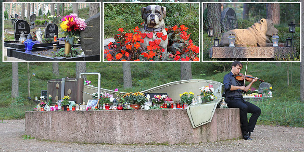 Suņu kaklasiksnas, foto un svecītes. Zvēru kapusvētkos godina mirušos mīluļus. FOTO
