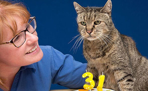Самому старому коту в мире исполнился 31 год