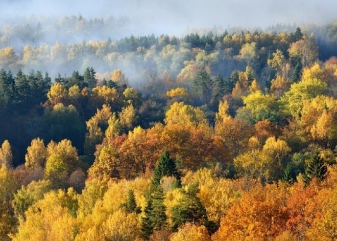 Nākamnedēļ Latvijā gaidāma zelta rudens kulminācija