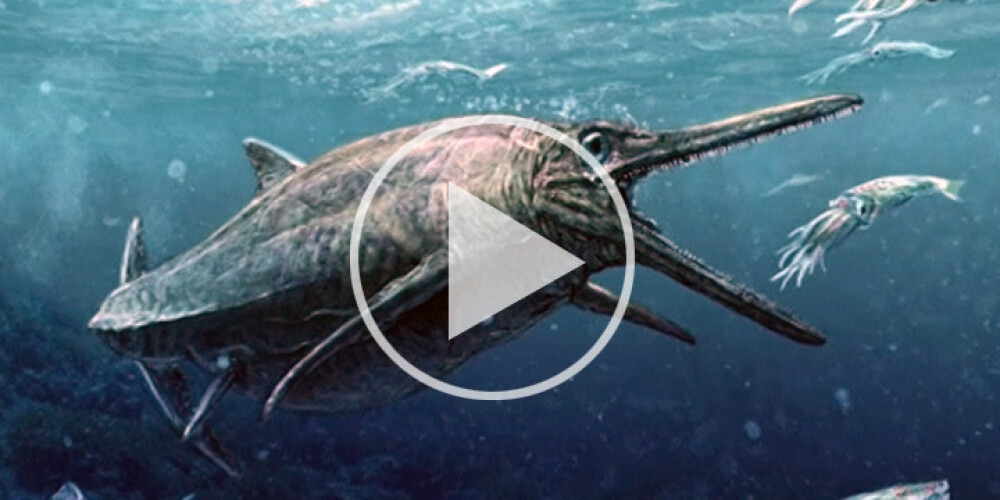 Pavērsiens paleontoloģijā: Skotijā atrasts 170 miljonus gadu vecs jūras briesmonis. VIDEO