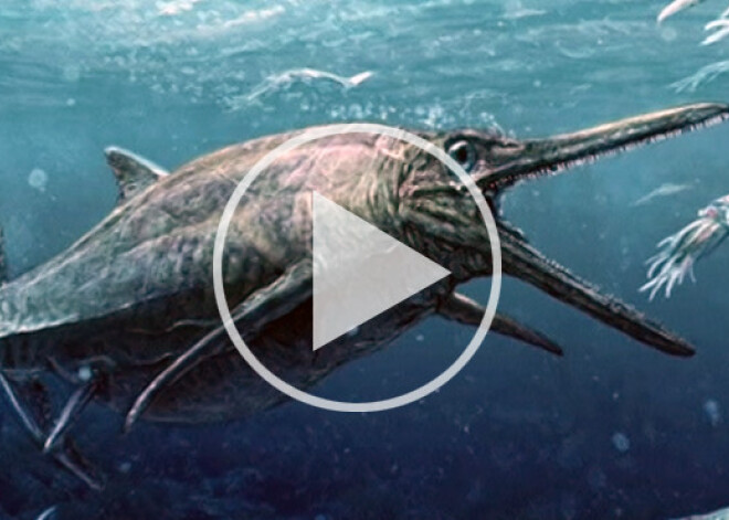 Pavērsiens paleontoloģijā: Skotijā atrasts 170 miljonus gadu vecs jūras briesmonis. VIDEO