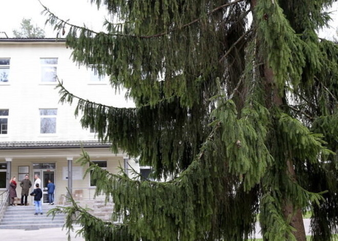 Neparedzēto gadījumu līdzekļos atrod teju 379 tūkstošus "Bundulīšiem" Muceniekos