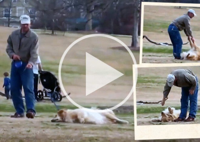 Suns izliekas par mirušu, lai ilgāk uzkavētos parkā. VIDEO