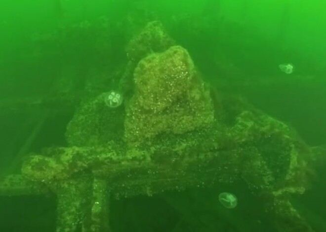 Atradums Baltijas jūrā pamatīgi pārsteidz un pat sajūsmina speciālistus. VIDEO