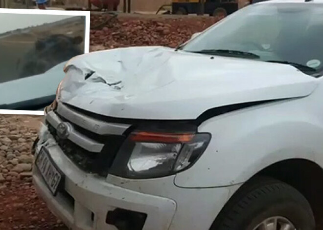 Šoferis piedzīvo pamatīgu šoku. Satrakojies nīlzirgs uzbrūk un sadragā viņa auto. VIDEO