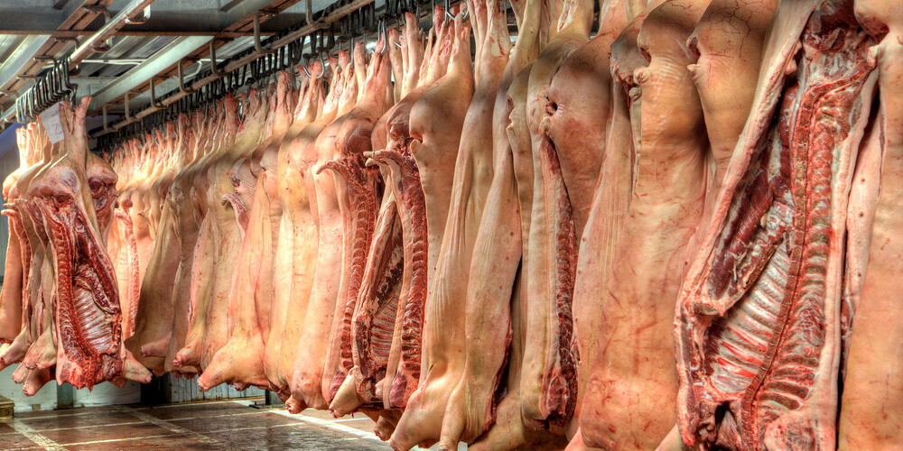 Gaļas kvalitāte: ēdam antibiotiku atliekvielas, brīdina speciālisti