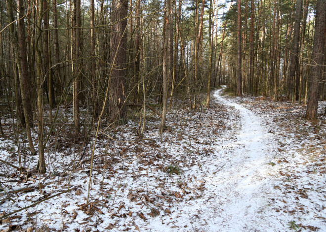 Laika prognoze svētdienai