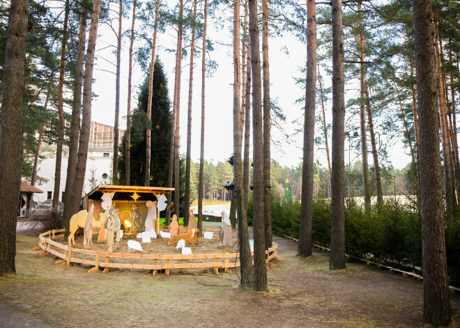 Aicina aplūkot Ziemassvētku eglīšu labirintu un svētku instalāciju "Betlēmes stāsts". FOTO