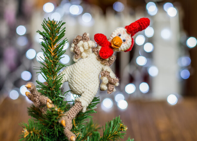 Гороскоп на 2017 год: Петух готов петь!