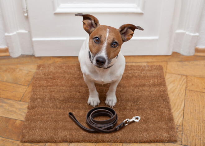 Tavs horoskops šodienai. Otrdiena, 9. janvāris