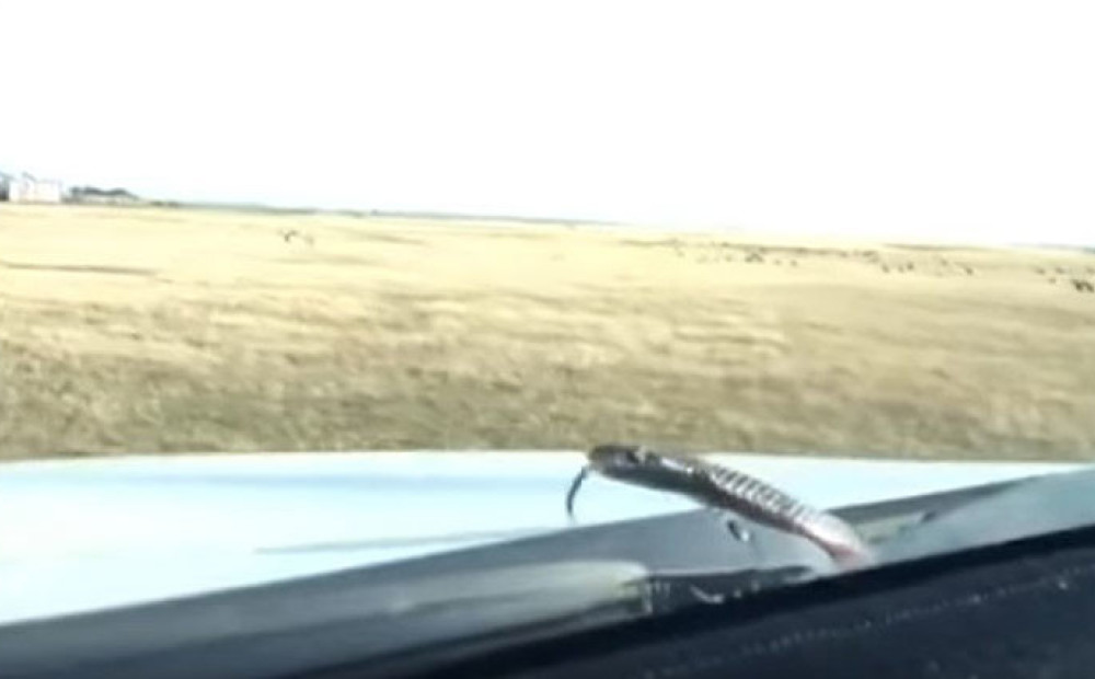 Это капот видео