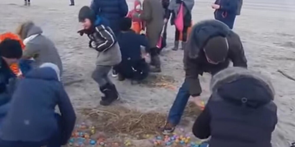 Из опасений, что пластиковые игрушки могут навредить дикой природе, на побережье был организован сбор яиц. К нему привлекли детей из местного детского сада