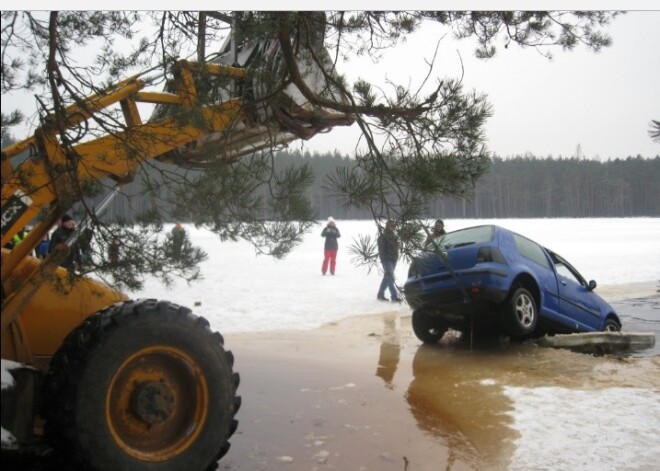 Pārgaujas novadā ledū ielūzis "golfiņš". FOTO