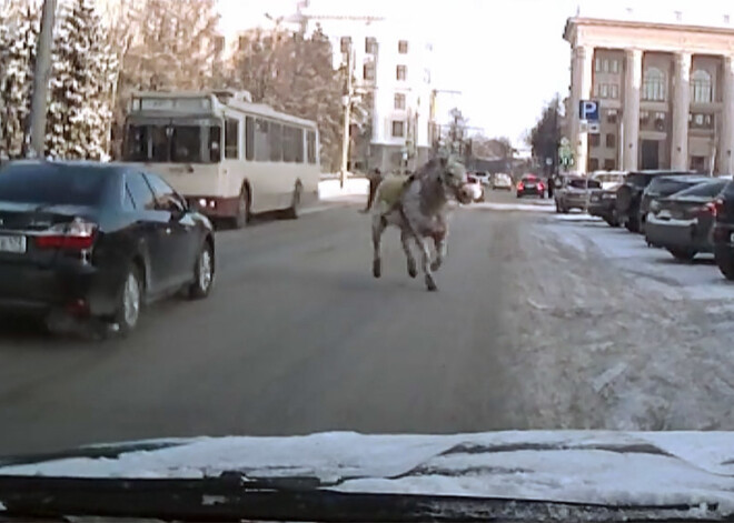 Čeļabinskas ielās notiek dīvainas lietas, pēkšņi uzrodas satrakojies zirgs. VIDEO