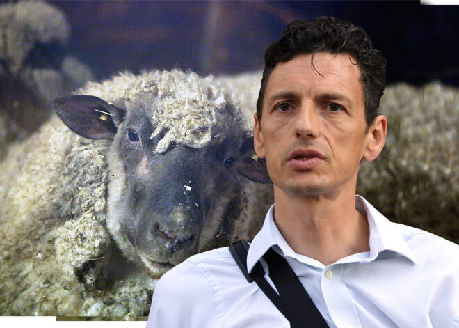 Aitu dēļ Klimovičs karo ar valsts iestādēm: nereģistrētie lopiņi viņam sagādā protokolus un soda naudas