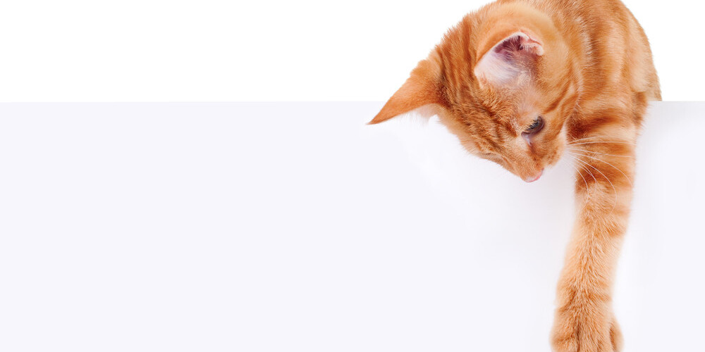 Мужчина свою вину в совершении преступления не признал