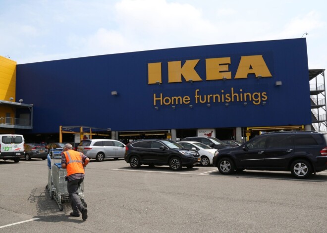 IKEA strauji iepērk mežu platības Baltijas valstīs