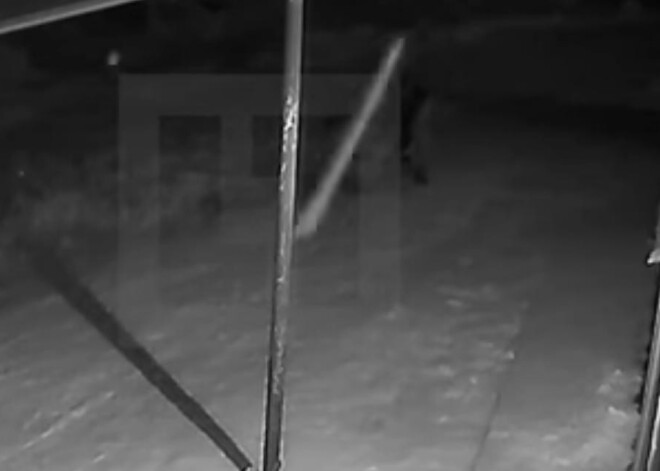 Жуткое убийство 10-летнего школьника в России попало на видео