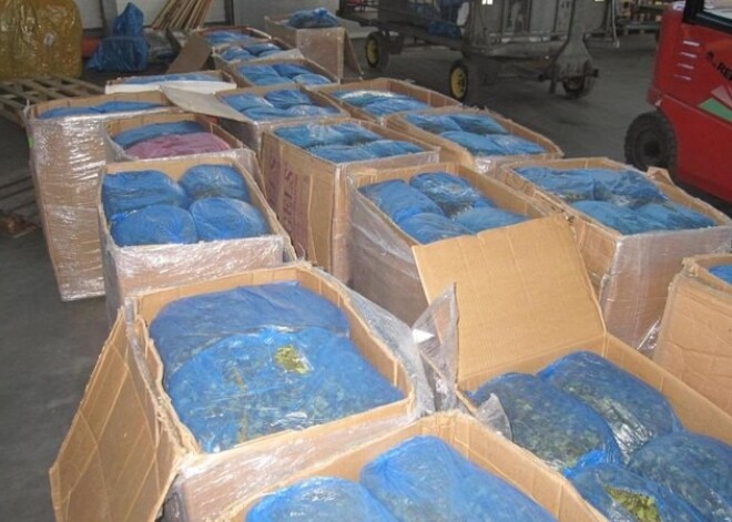 Беженцы из Сомали пытались ввезти в Латвию около 600 кг психотропных веществ