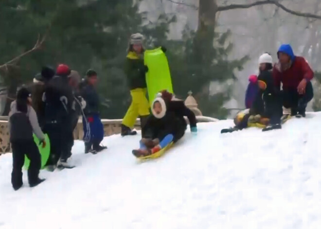 Piesnigušajā Ņujorkas Centrālparkā skan bērnu smiekli un valda īsta ziemas jautrība. VIDEO