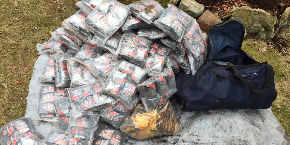 В Юрмале полиция нашла спрятанные в клумбе 40 кг «спайсов»