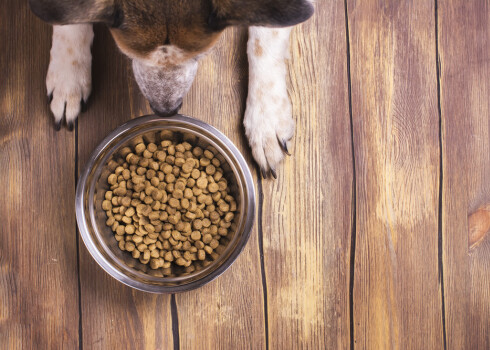 "Dogo" suņu barības skandāls nonāk līdz policijai