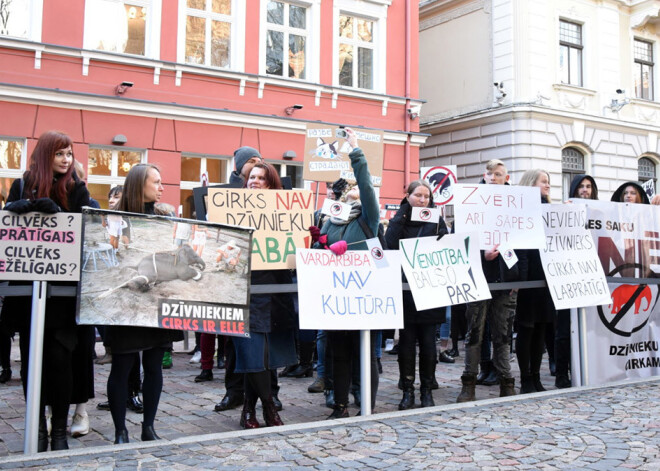 Protests vainagojies panākumiem: Saeima atbalsta savvaļas dzīvnieku aizliegumu cirkā