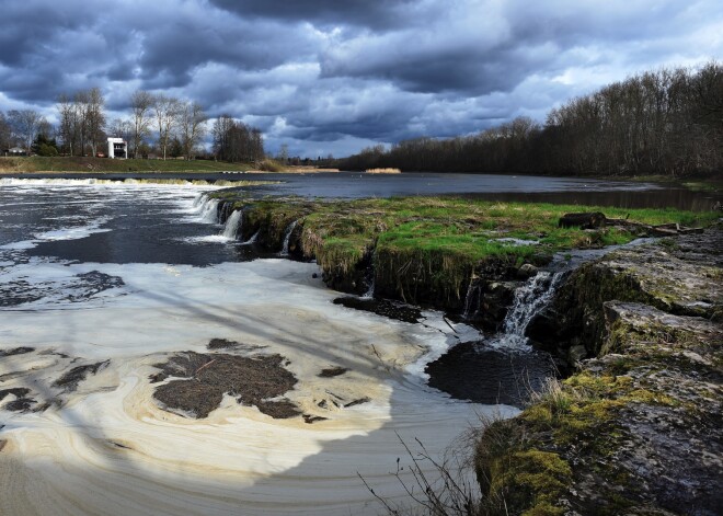 FOTO: Ventā lido vimbas un citas ainiņas no dabas atmošanās Latvijā