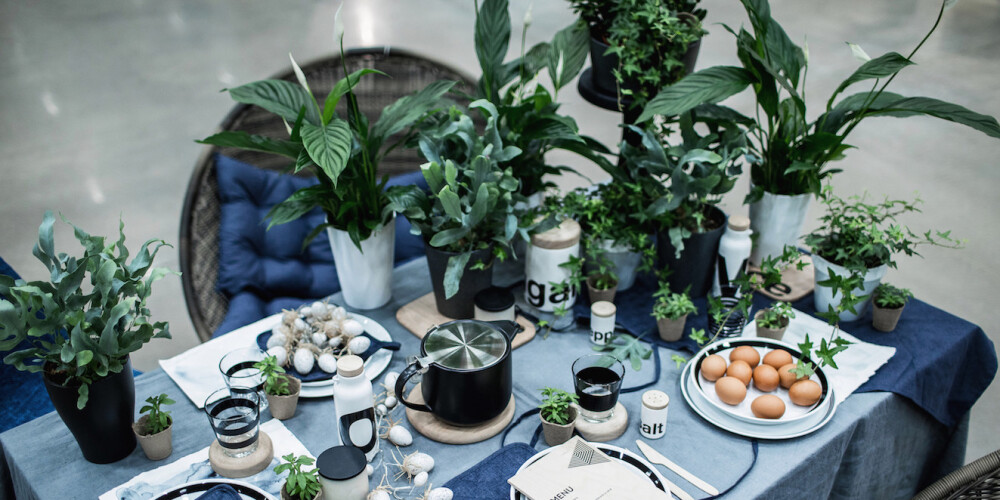 Šogad, ne tikai Lieldienās, bet arī kopējās gada tendencēs savu balsi piesaka dūmakaini zilā krāsa. Un vislabāk to kombinēt ar pelēko.