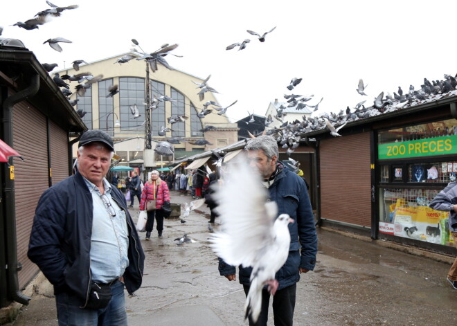 Rīgas Centrāltirgus paštēlu pucēs par gandrīz 170 tūkstošiem eiro