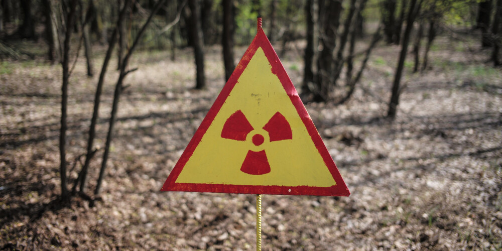 Černobiļas avārijas radiāciju 31 gadu vēlāk fiksē tālajā Čehijā; tur mīt radioaktīvās mežacūkas
