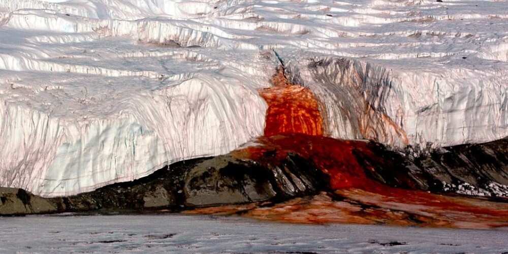 Zinātnieki izskaidro gadsimta noslēpumu par Antarktīdas "asins straumēm"