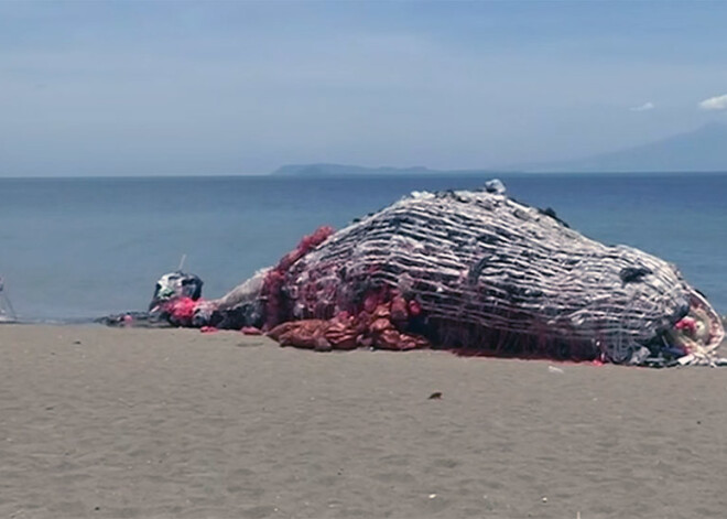 Filipīnās ar beigta vaļa skulptūru vērš uzmanību par plastmasas atkritumu bīstamību