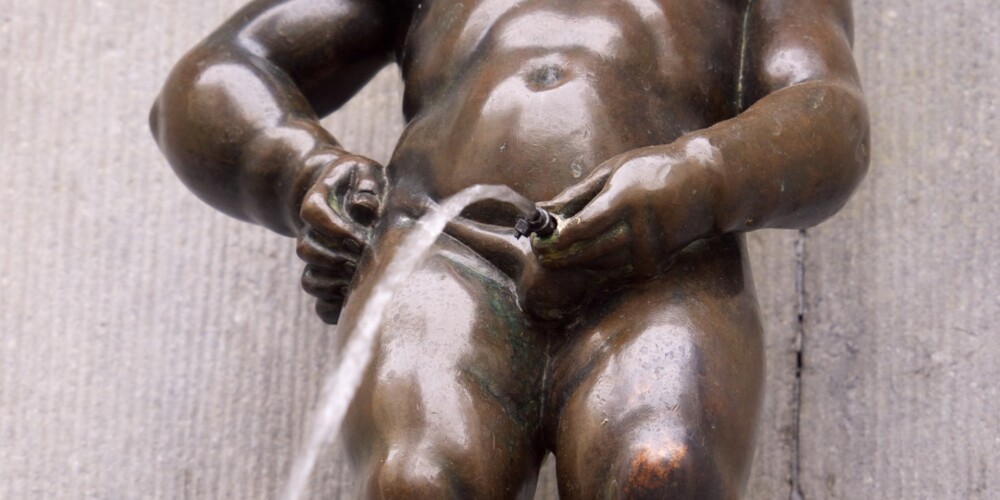 Beļģija (nīderlandiešu: België, franču: Belgique (izruna), vācu: Belgien (izruna)), oficiāli Beļģijas Karaliste (Koninkrijk België, Royaume de Belgique, Königreich Belgien), ir valsts Eiropas ziemeļrietumos. To ziemeļos apskalo Ziemeļjūra, kā arī robežojas ar Nīderlandi ziemeļos, ar Vāciju austrumos, ar Luksemburgu dienvidaustrumos un ar Franciju rietumos. Beļģijas kopējā platība ir 30 528 km² un to ietekmē mērenās joslas klimats. Ziemeļrietumos gar Ziemeļjūru plešas piekrastes līdzenumi, vidusdaļu veido plakankalne, bet dienvidaustrumos atrodas mežaina augstiene. Beļgija ar 11,2 miljoniem iedzīvotāju ir devītā lielākā Eiropas Savienības dalībvalsts.