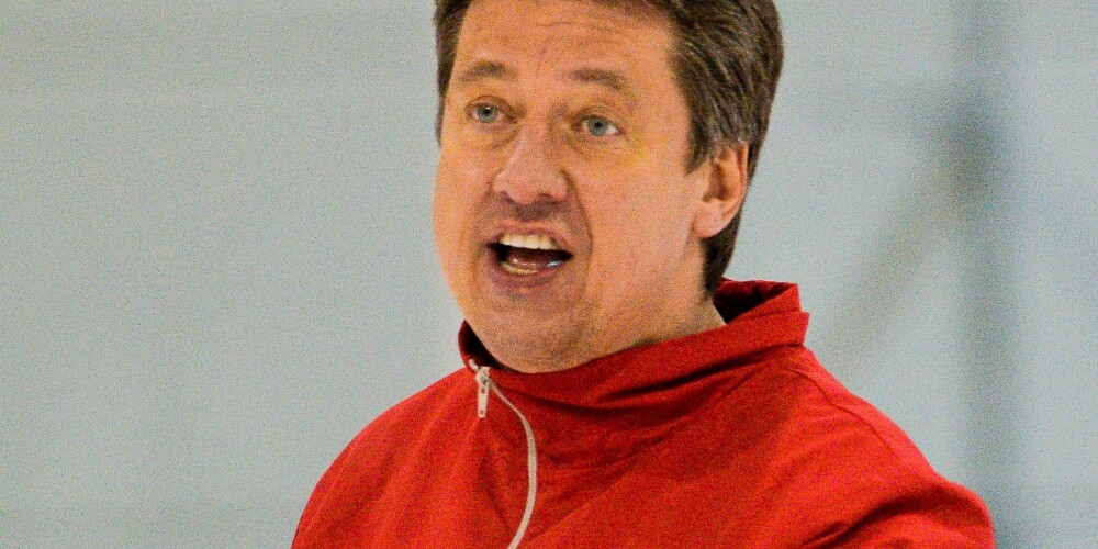 Harijs Vītoliņš (dzimis 1968. gada 30. aprīlī Rīgā) ir bijušais latviešu hokejists, spēlējis centra uzbrucēja pozīcijā, bijis Latvijas hokeja izlases dalībnieks. Pašlaik (2016) ir Kontinentālās hokeja līgas kluba Sanktpēterburgas SKA un Krievijas hokeja izlases trenera palīgs. Viņa vectēvs bija pirmskara Latvijas hokeja izlases dalībnieks, vēlāk treneris, hokeju spēlēja arī Vītoliņa tēvs.